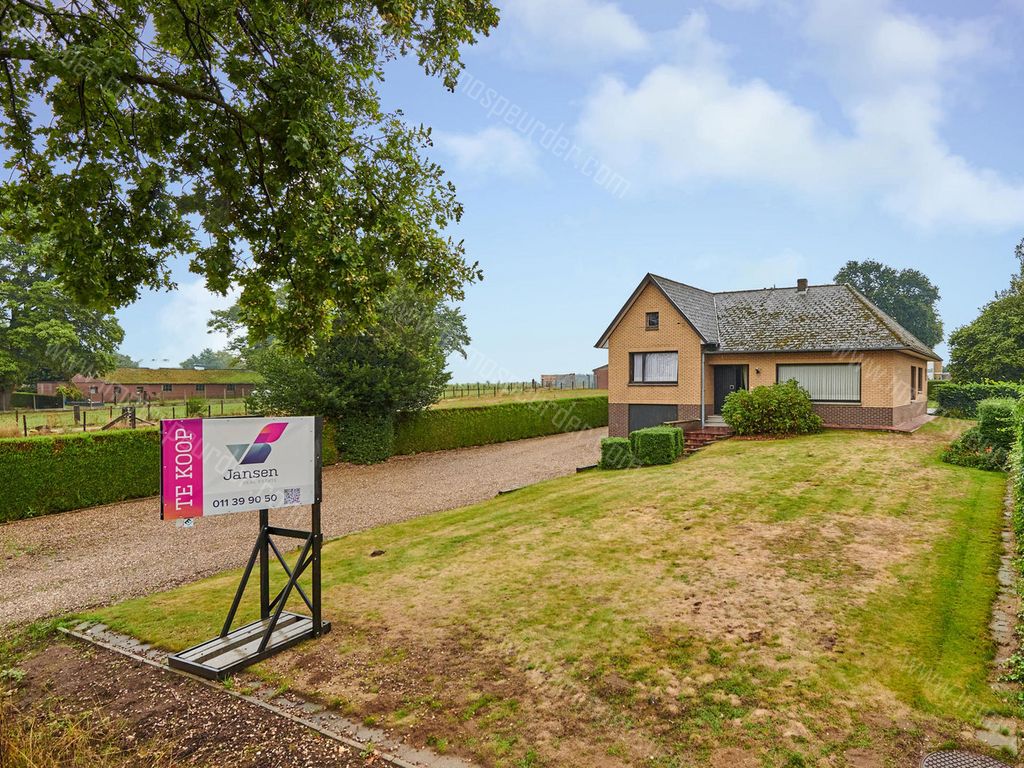 Plockroy 11 3670 MeeuwenGruitrode 989989 ImmoSpeurder