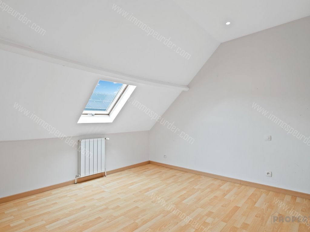 Kantoor in Menen - 959471 - Koningstraat 43, 8930 Menen