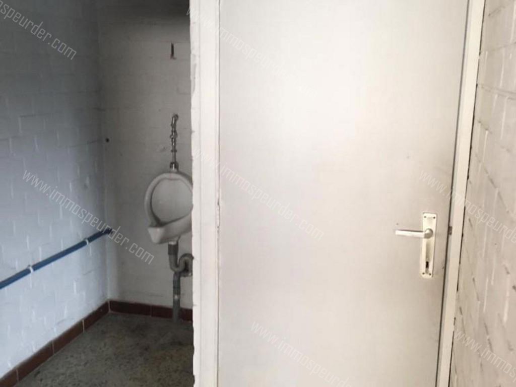 Kantoor in Herselt - 594540 - Wolfdonksesteenweg 211-0002, 2230 Herselt