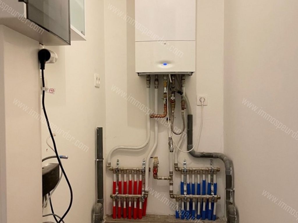 Appartement in Poppel - 635995 - Lammervelden 13-1-1, 2382 Poppel