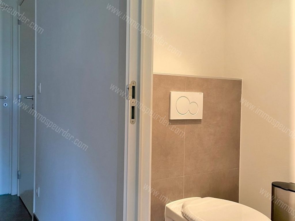 Appartement in Poppel - 635995 - Lammervelden 13-1-1, 2382 Poppel