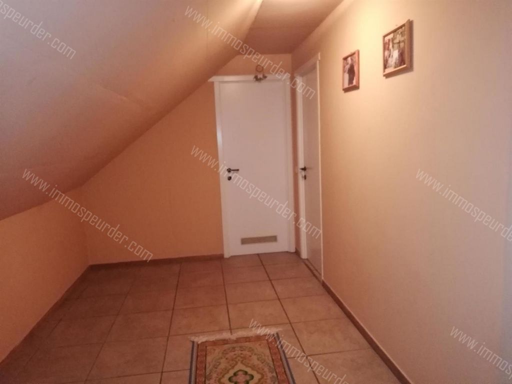 Huis in Zoersel - 593465 - Dorp 10-BA, 2980 Zoersel