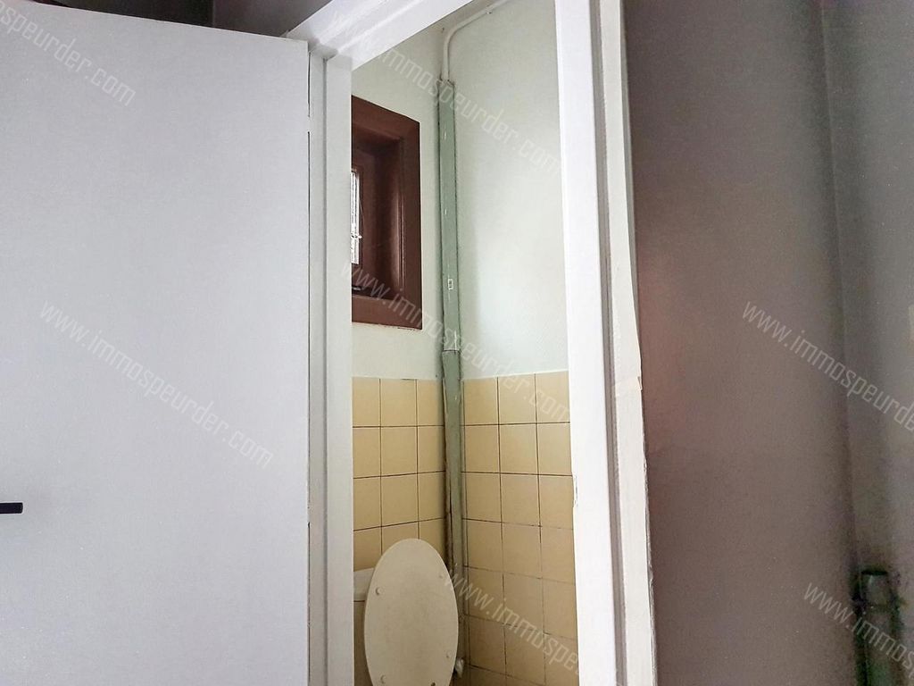 Huis in Meerle - 607554 - Hazenweg 18, 2328 Meerle