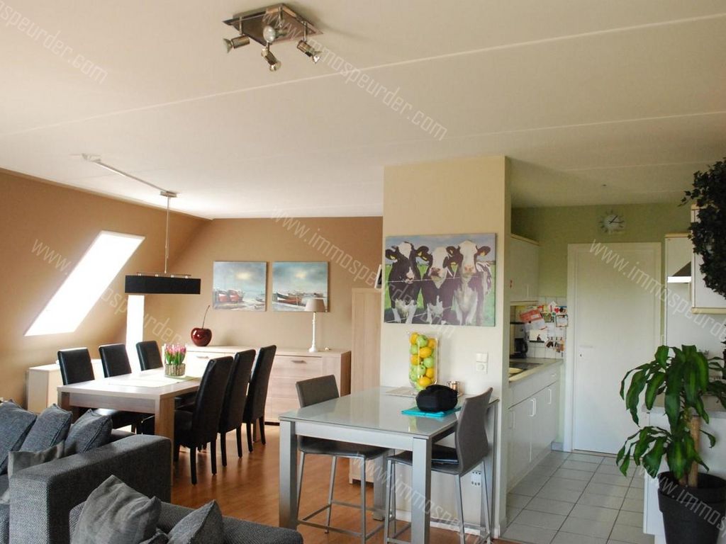 Appartement in Zoersel - 624718 - Voetbalstraat 33-B6, 2980 Zoersel