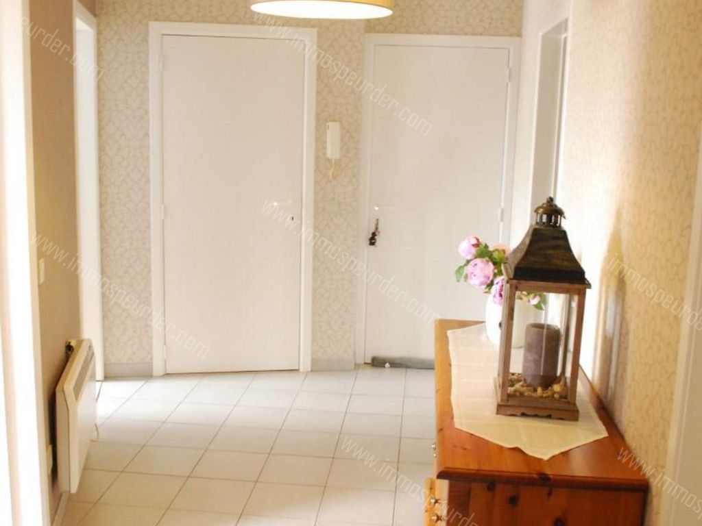 Appartement in Zoersel - 624718 - Voetbalstraat 33-B6, 2980 Zoersel