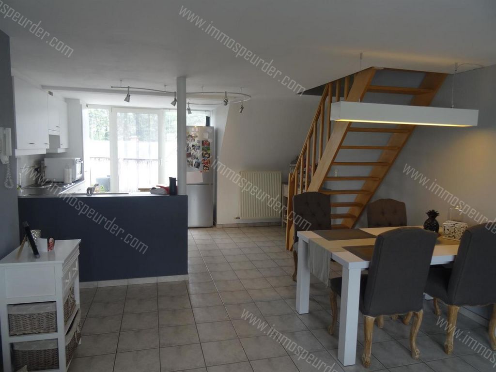 Appartement in Zoersel - 901841 - Halledorp 91-B6, 2980 Zoersel