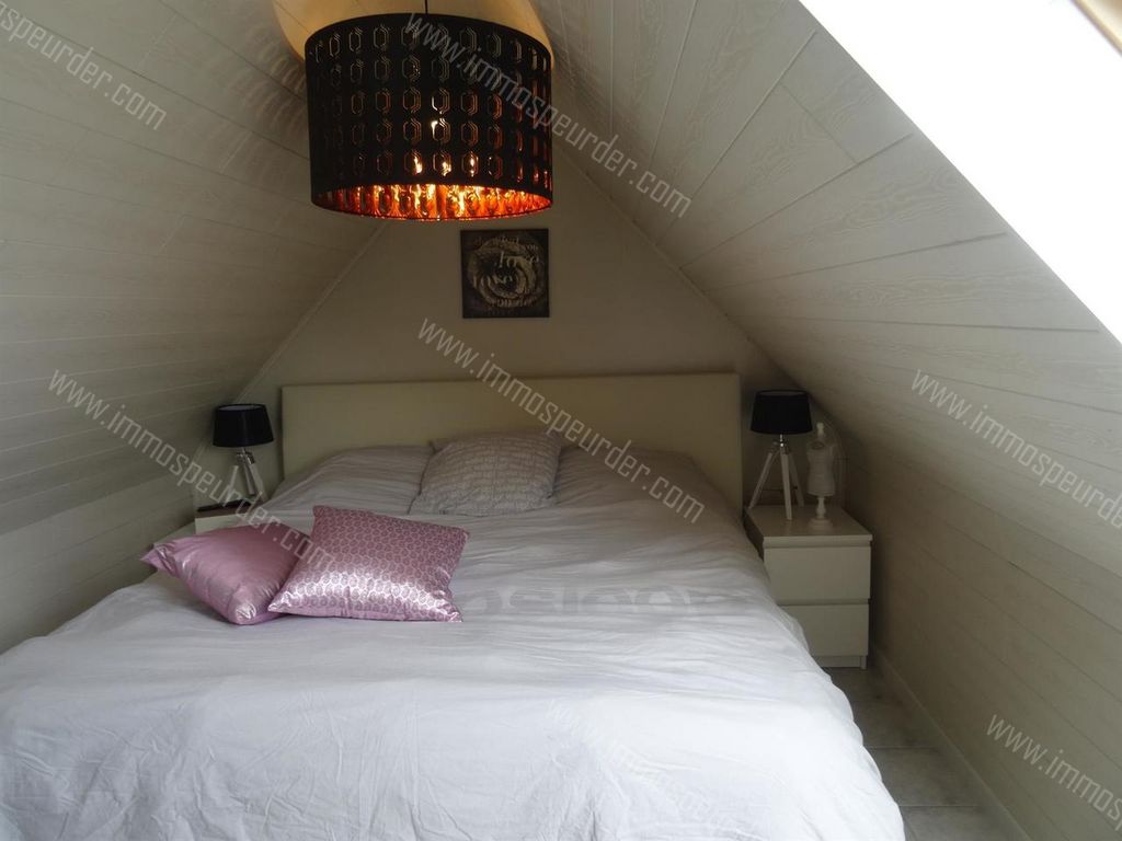 Appartement in Zoersel - 901841 - Halledorp 91-B6, 2980 Zoersel