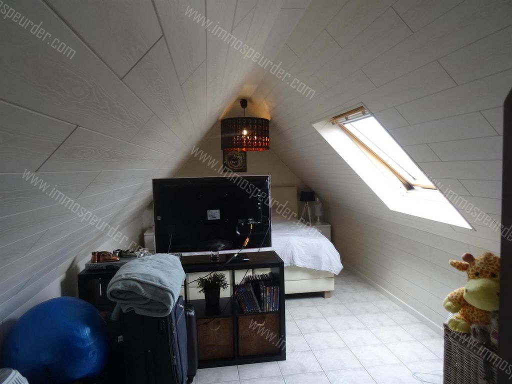 Appartement in Zoersel - 901841 - Halledorp 91-B6, 2980 Zoersel