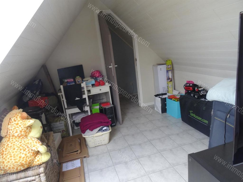 Appartement in Zoersel - 901841 - Halledorp 91-B6, 2980 Zoersel