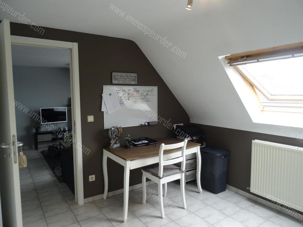 Appartement in Zoersel - 901841 - Halledorp 91-B6, 2980 Zoersel