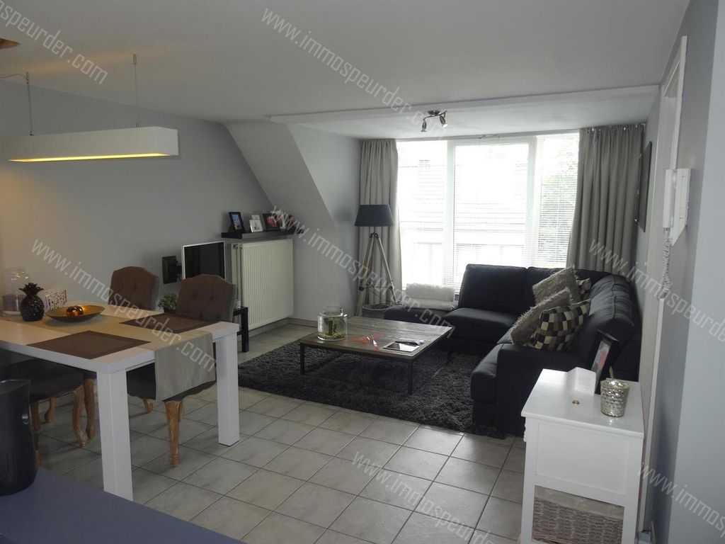 Appartement in Zoersel - 901841 - Halledorp 91-B6, 2980 Zoersel