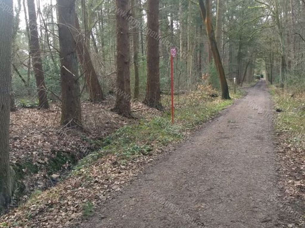 Villa in Zoersel - 542305 - Schriekbos 84, 2980 Zoersel