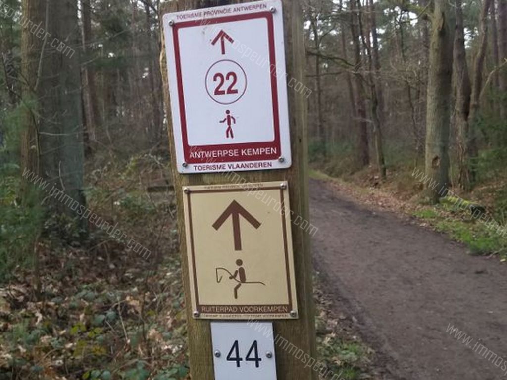 Villa in Zoersel - 542305 - Schriekbos 84, 2980 Zoersel