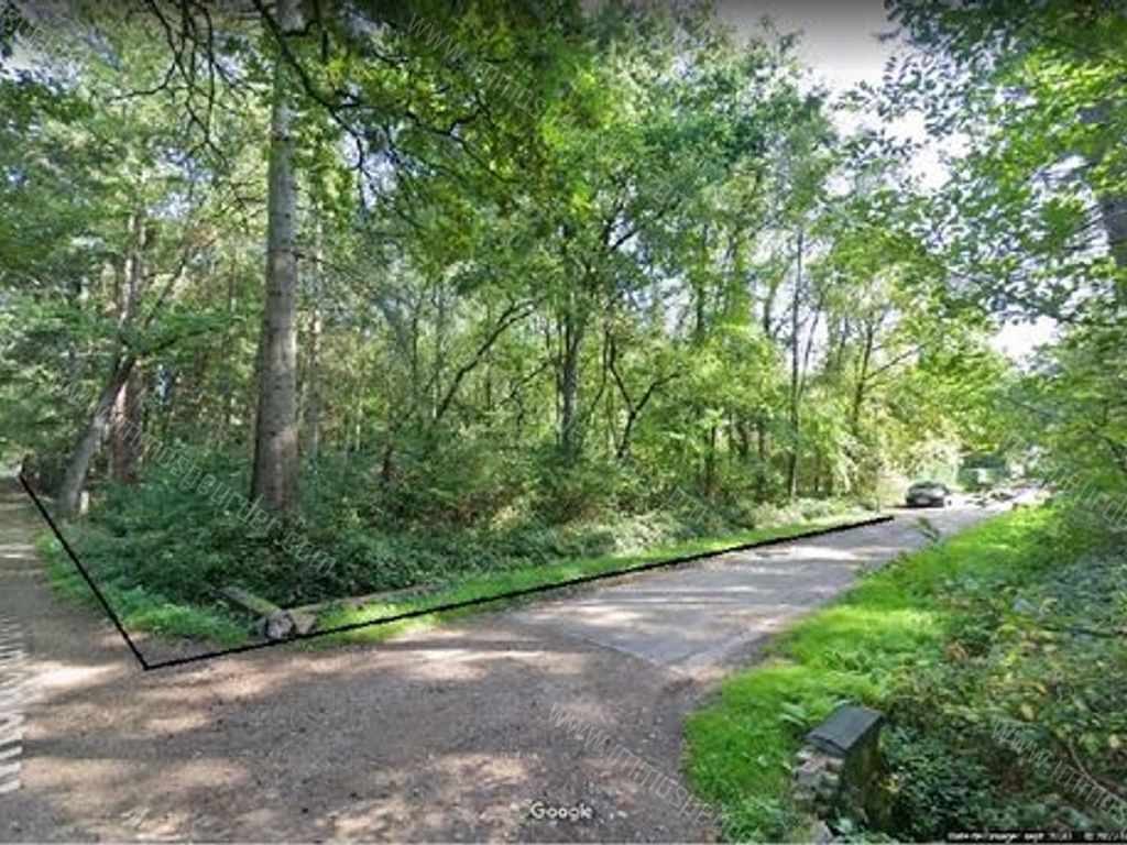 Villa in Zoersel - 542305 - Schriekbos 84, 2980 Zoersel