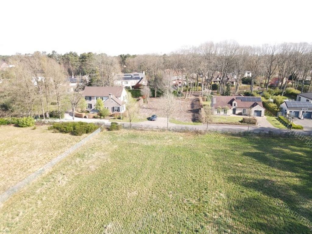 Villa in Zoersel - 542301 - Abdijlaan 14, 2980 Zoersel