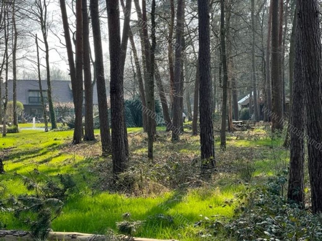 Villa in Zoersel - 542303 - Trien Van Hemeldoncklaan 16, 2980 Zoersel