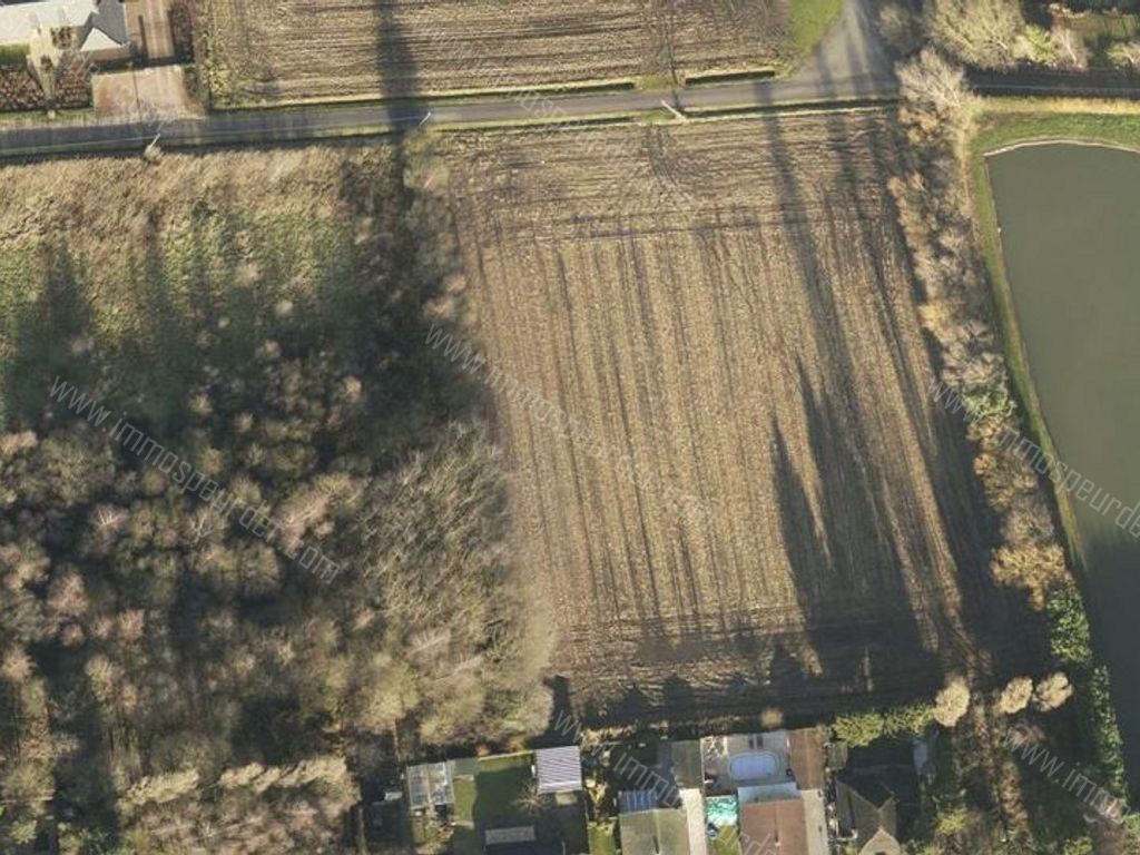 Grond in Herselt - 542315 - Visvijverstraat , 2230 Herselt