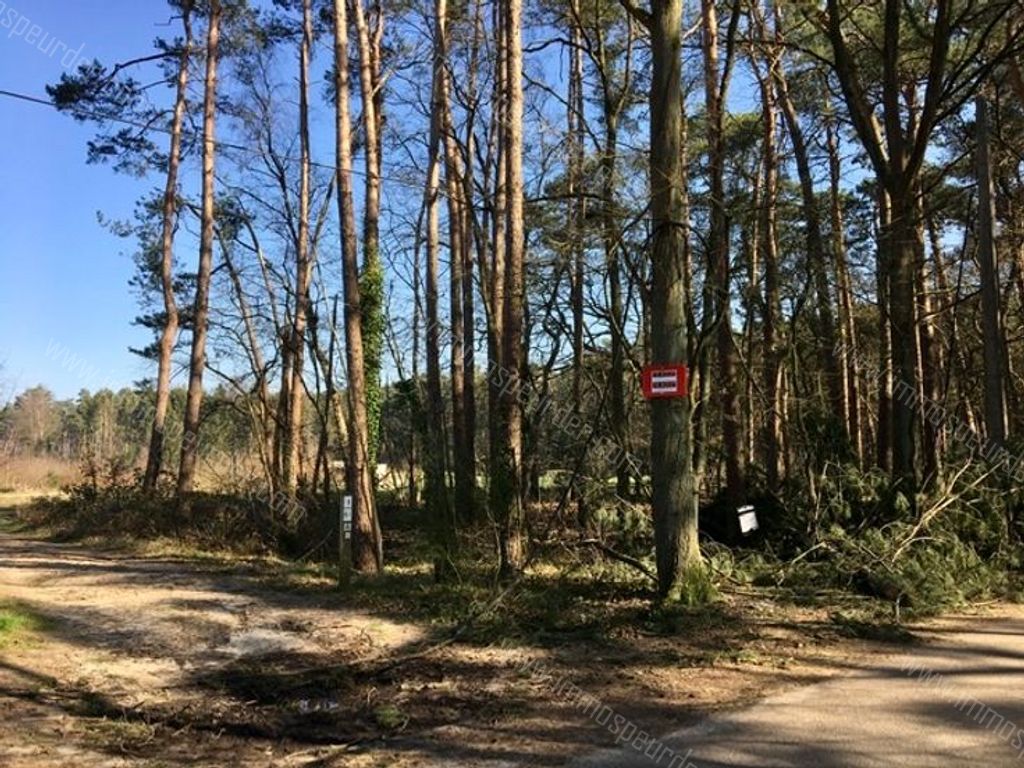 Grond in Zoersel - 587914 - Schriekbos - Antwerpsedreef , 2980 Zoersel
