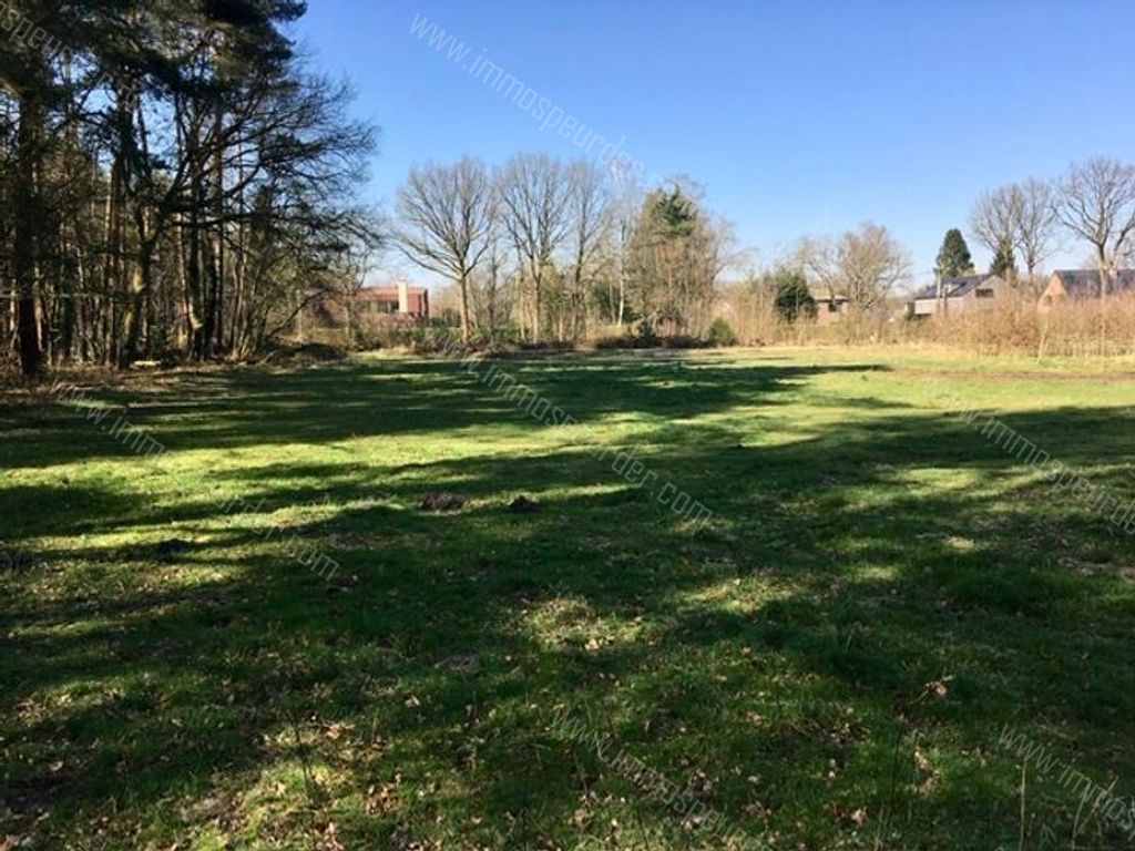 Grond in Zoersel - 587914 - Schriekbos - Antwerpsedreef , 2980 Zoersel