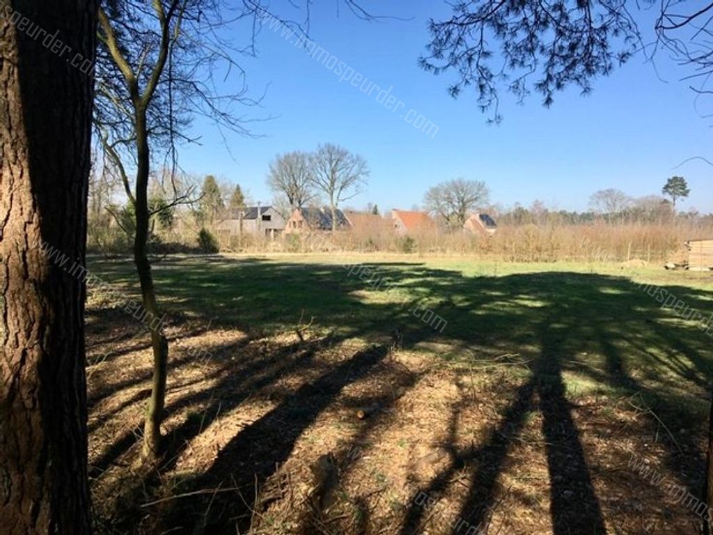 Grond in Zoersel - 587914 - Schriekbos - Antwerpsedreef , 2980 Zoersel