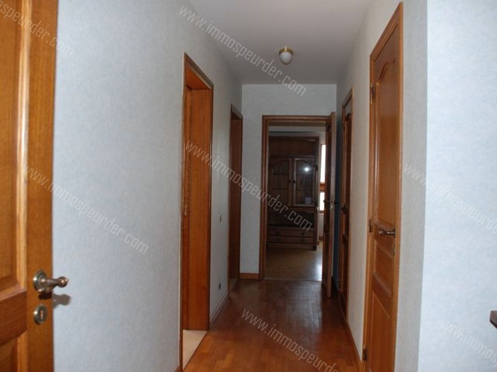 Appartement in Willebroek - 588383 - Breendonkstraat 352, 2830 Willebroek