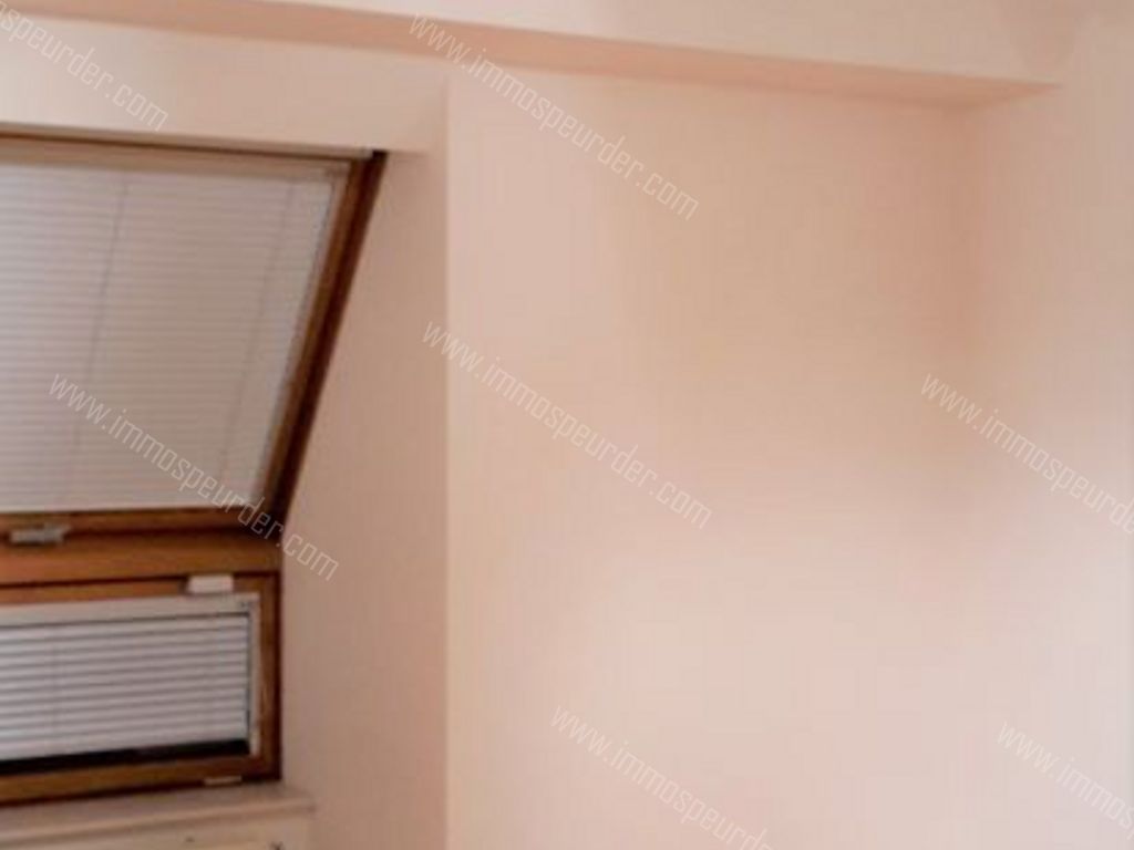 Appartement in Willebroek - 588383 - Breendonkstraat 352, 2830 Willebroek