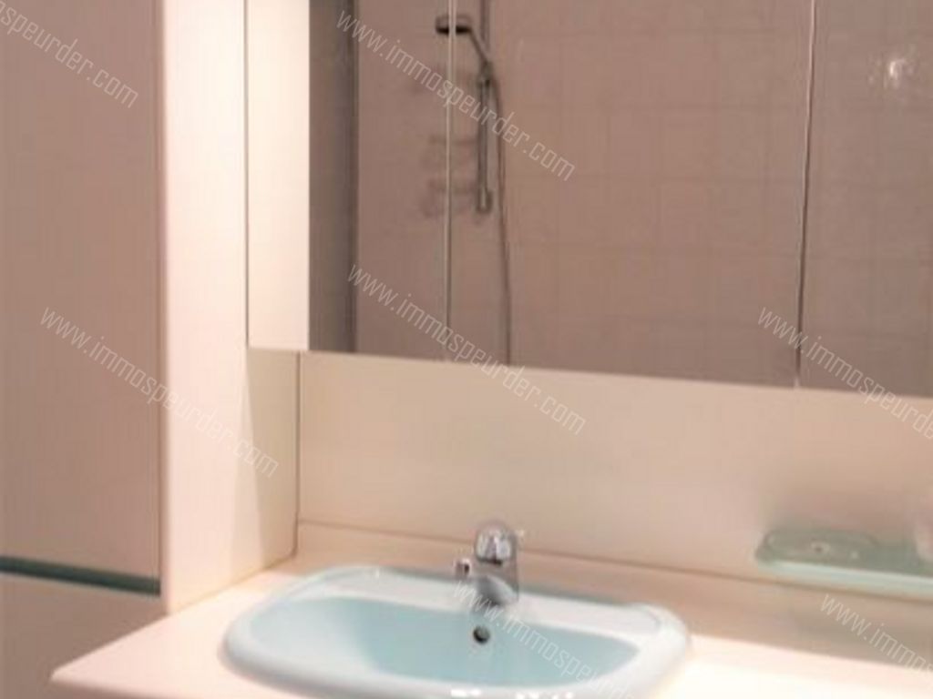 Appartement in Willebroek - 588383 - Breendonkstraat 352, 2830 Willebroek