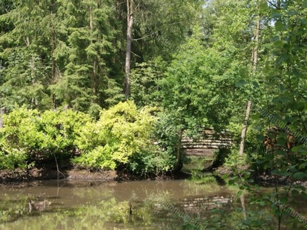 Huis in Herselt - 589269 - Langdonkenstraat 51, 2230 Herselt