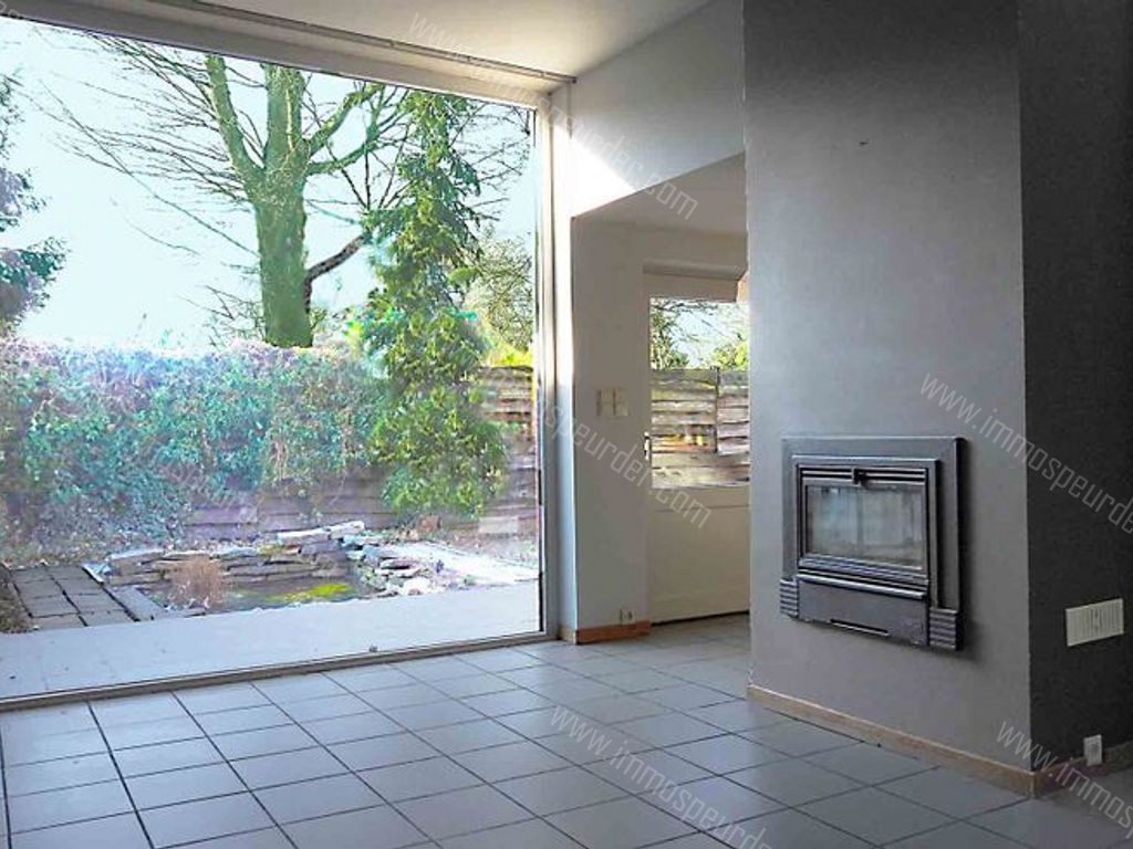 Villa in Zoersel - 589262 - Olmenlei 48, 2980 Zoersel
