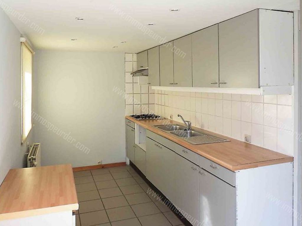 Villa in Zoersel - 589262 - Olmenlei 48, 2980 Zoersel