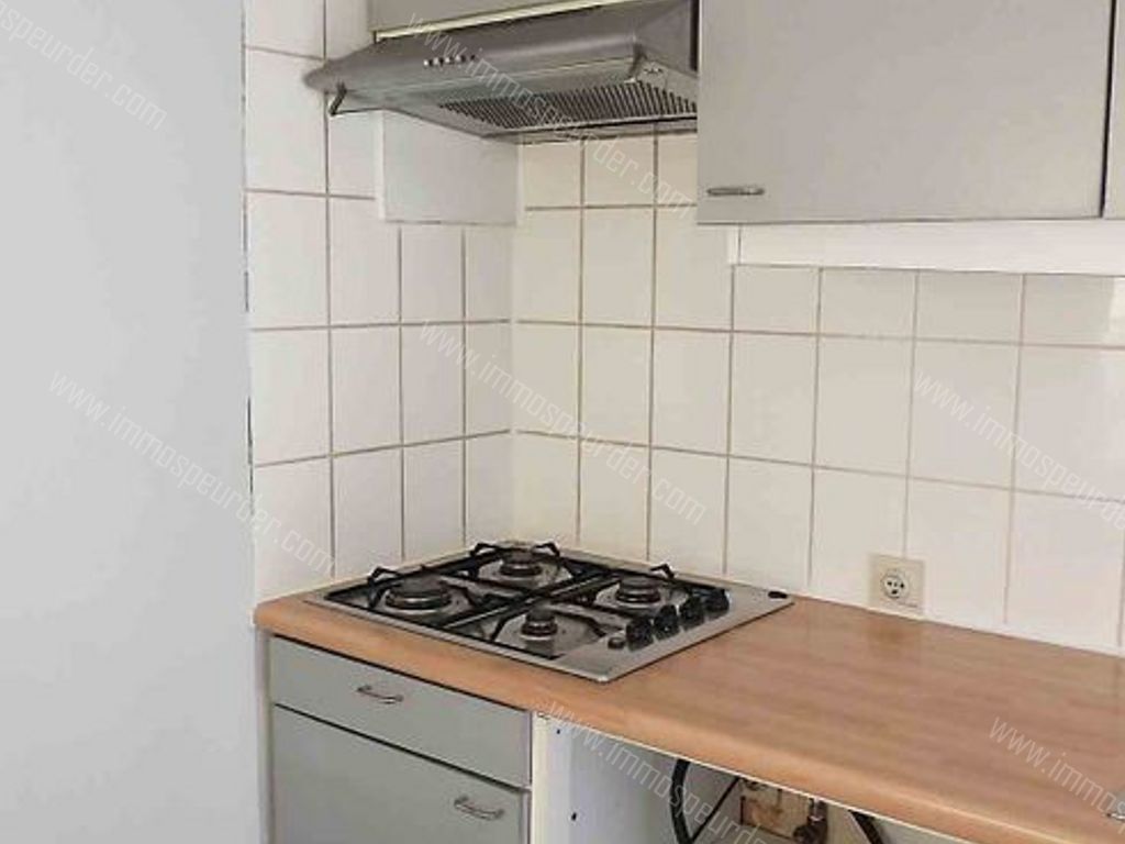 Villa in Zoersel - 589262 - Olmenlei 48, 2980 Zoersel