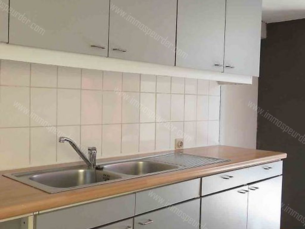 Villa in Zoersel - 589262 - Olmenlei 48, 2980 Zoersel