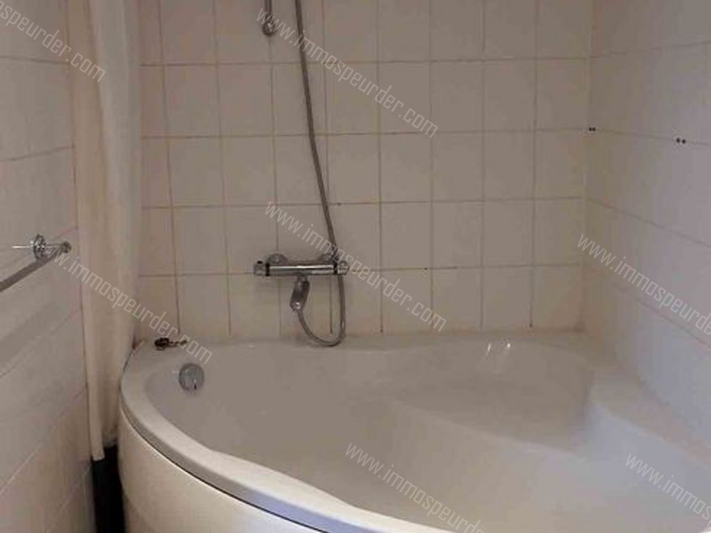 Villa in Zoersel - 589262 - Olmenlei 48, 2980 Zoersel