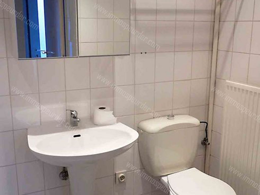 Villa in Zoersel - 589262 - Olmenlei 48, 2980 Zoersel