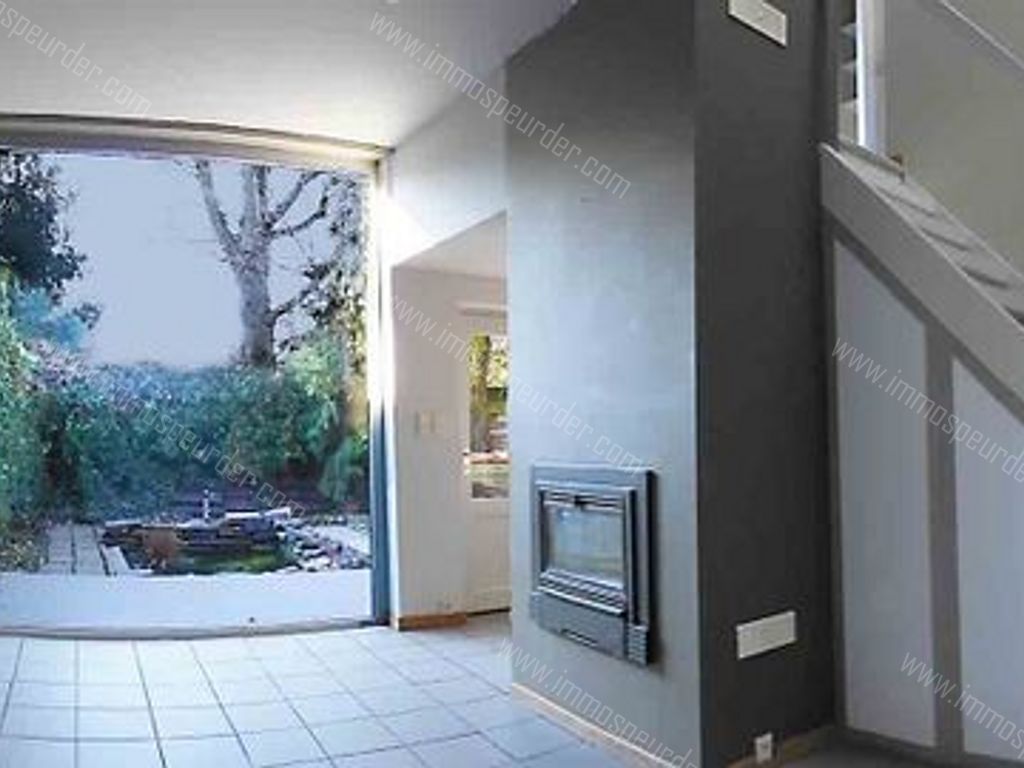 Villa in Zoersel - 589262 - Olmenlei 48, 2980 Zoersel