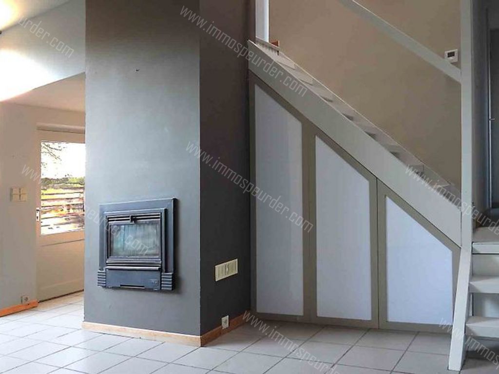 Villa in Zoersel - 589262 - Olmenlei 48, 2980 Zoersel