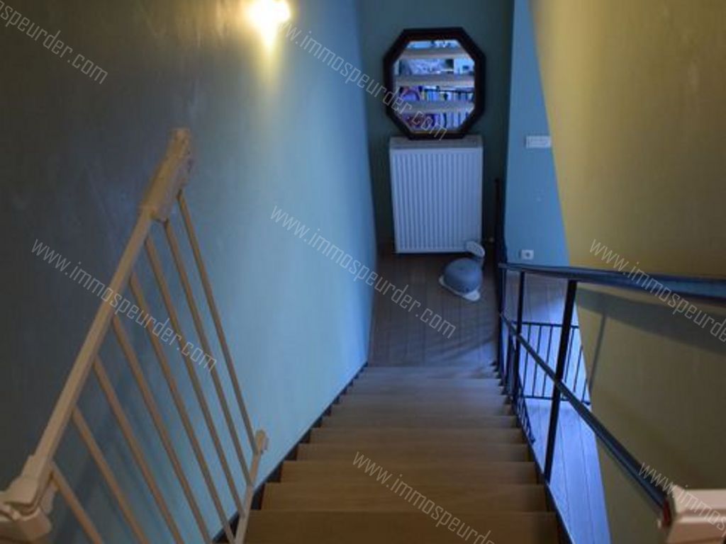 Appartement in Herselt - 541247 - Herentalsesteenweg 1, 2230 Herselt