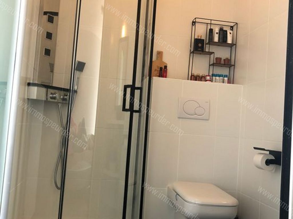 Appartement in Zoersel - 586720 - Zoerselsteenweg 7, 2980 Zoersel