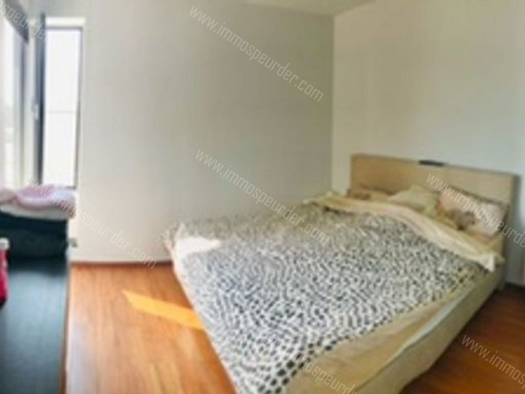 Appartement in Zoersel - 586720 - Zoerselsteenweg 7, 2980 Zoersel