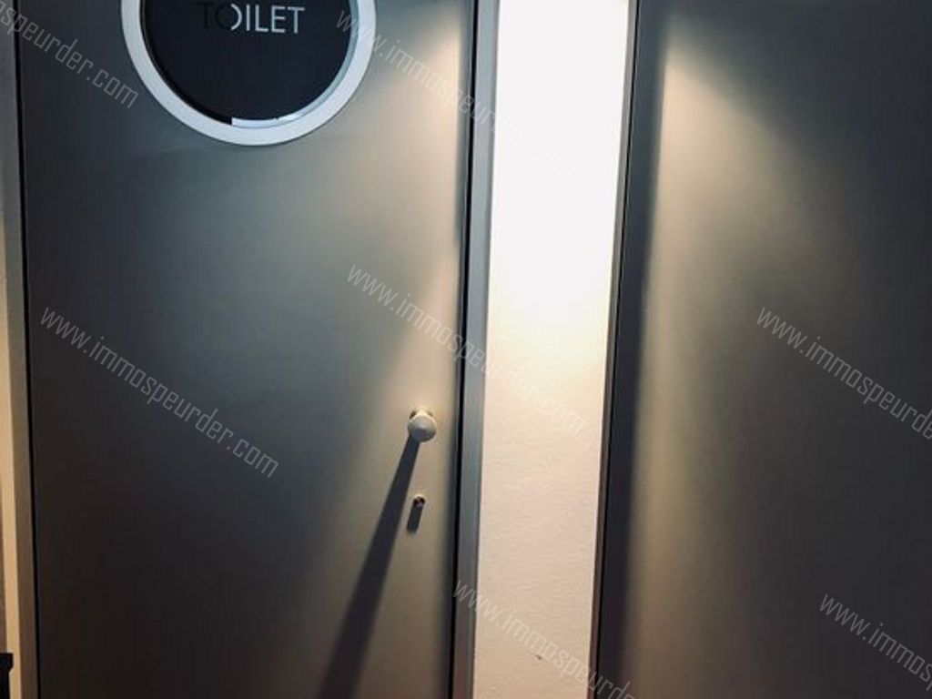 Appartement in Zoersel - 586720 - Zoerselsteenweg 7, 2980 Zoersel