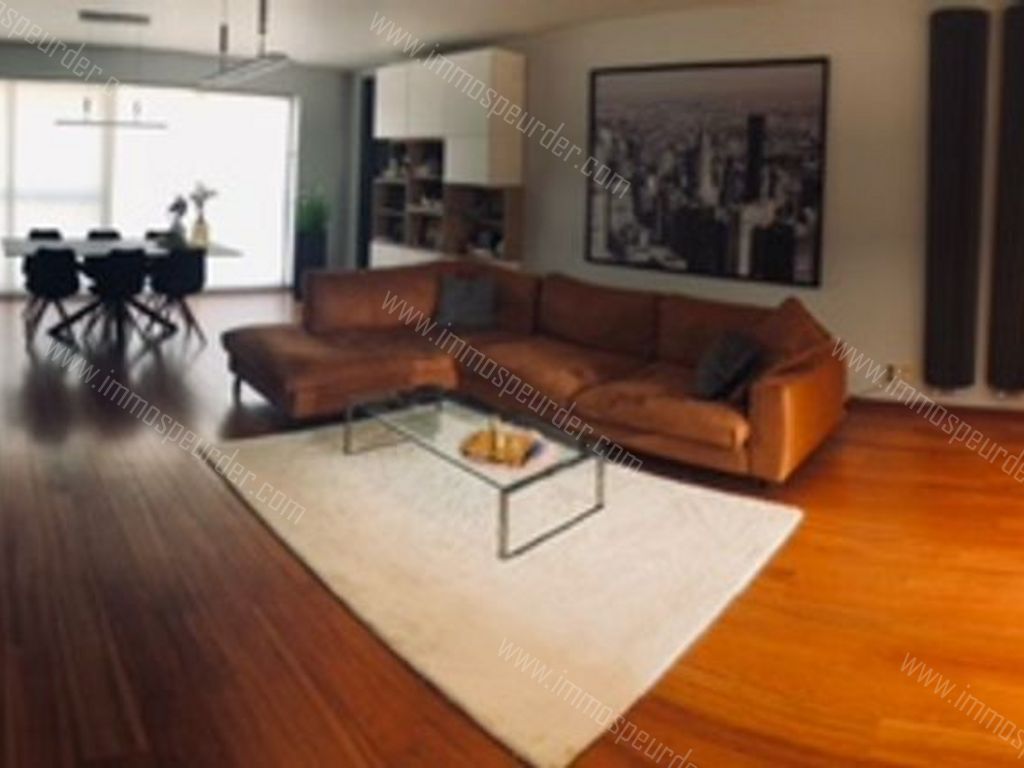 Appartement in Zoersel - 586720 - Zoerselsteenweg 7, 2980 Zoersel