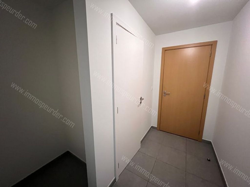 Appartement in Herselt - 586723 - Dorp 45, 2230 Herselt