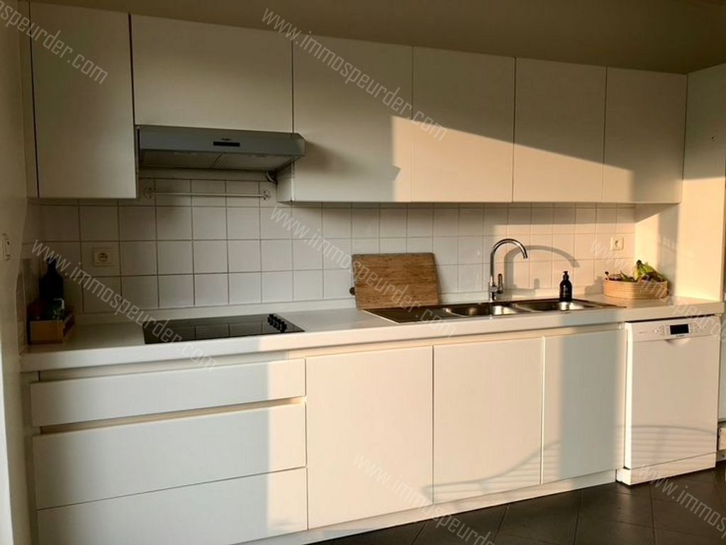 Huis in Zoersel - 587308 - Gestelsebaan 94, 2980 Zoersel