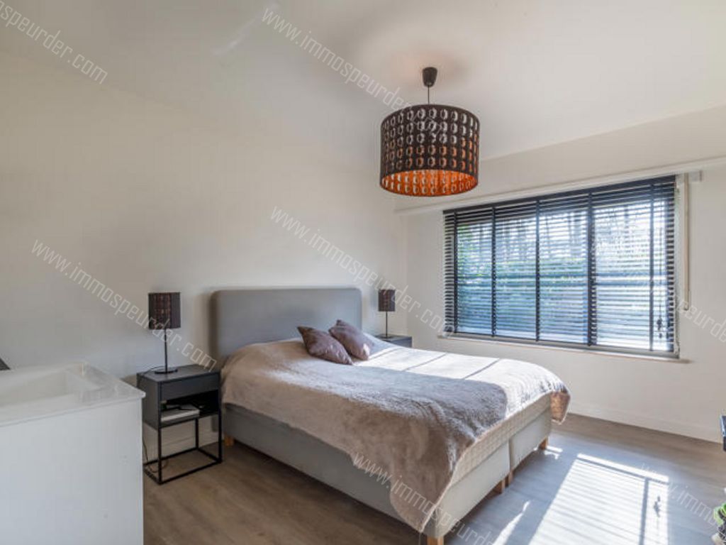 Villa in Halle - 587309 - Spechtendreef 57, 2980 Halle