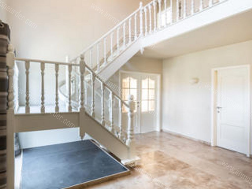 Villa in Zoersel - 587310 - Korte Kwikaardweg 8, 2980 Zoersel