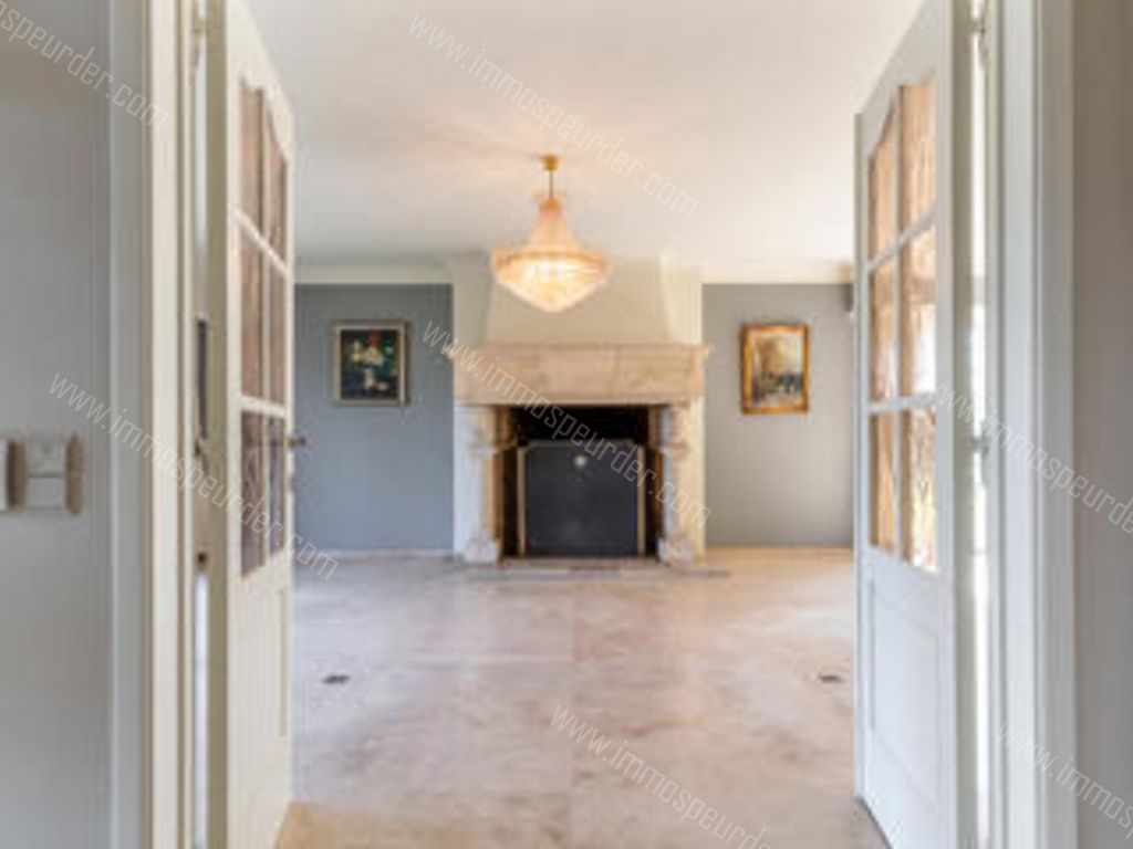 Villa in Zoersel - 587310 - Korte Kwikaardweg 8, 2980 Zoersel