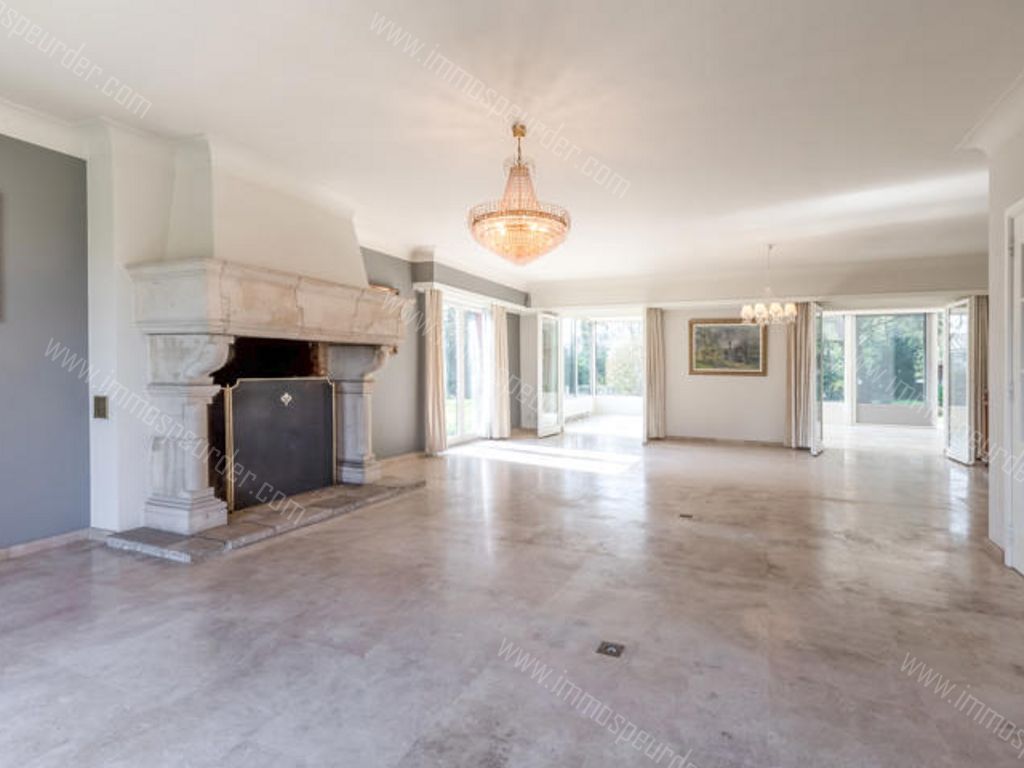 Villa in Zoersel - 587310 - Korte Kwikaardweg 8, 2980 Zoersel