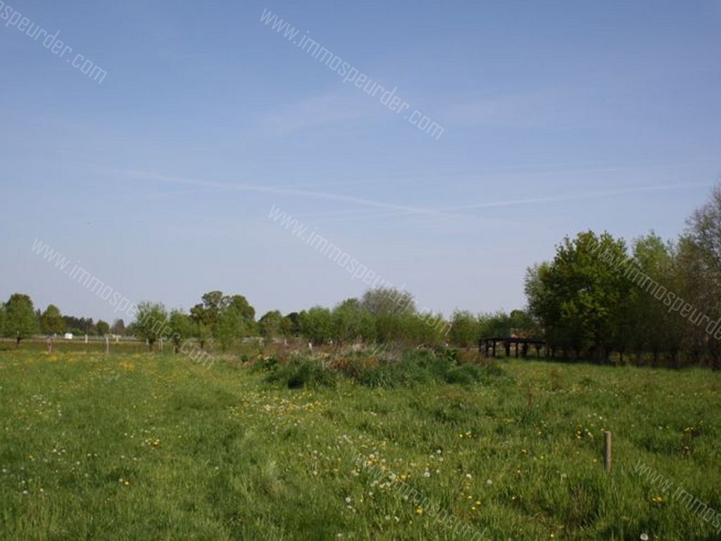 Huis in Herselt - 587358 - Begijnendijksesteenweg 13, 2230 Herselt