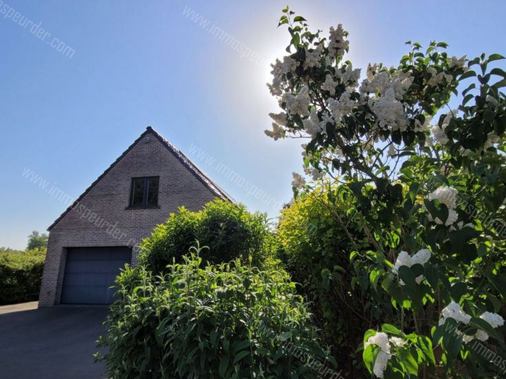 Huis in Ramsel - 587353 - Westmeerbeeksesteenweg 123, 2230 Ramsel