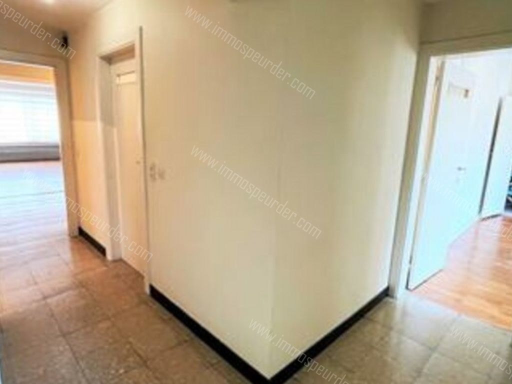 Appartement in Liège - 553972 - Boulevard d'Avroy 114, 4000 Liège